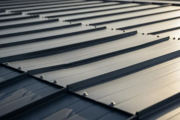 Metal Roof 7